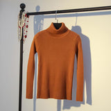 Turtleneck sweater
