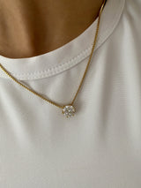 COLLIER TAYLOR