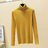 Turtleneck sweater