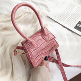 Mini Square Bag