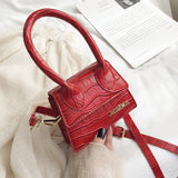Mini Square Bag