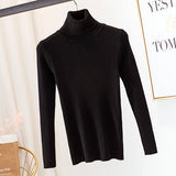 Turtleneck sweater