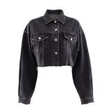 Autumn Short Distressed Denim Jacket