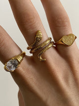 BAGUE F*CK OFF